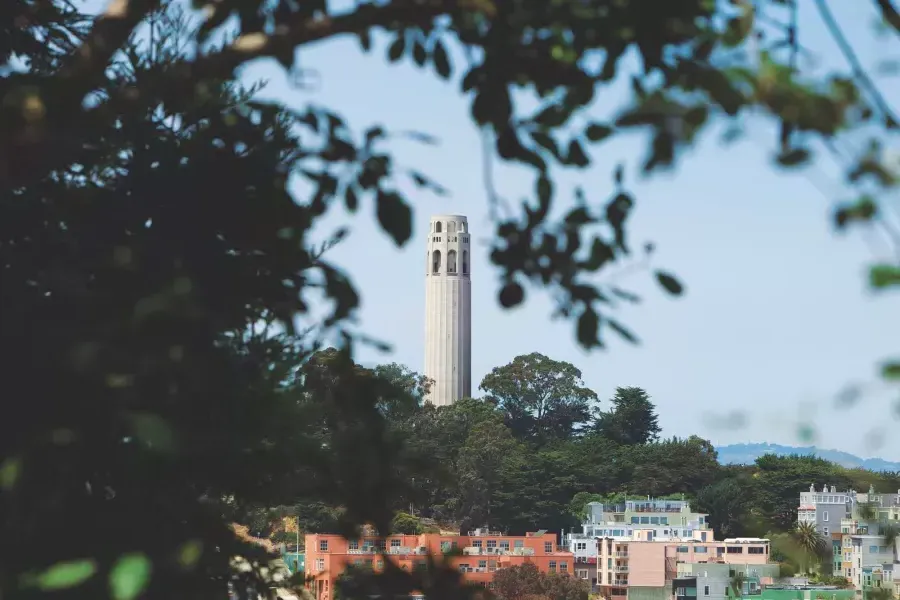 威尼斯人官网平台app's 屁股Tower, framed by trees in the foreground.